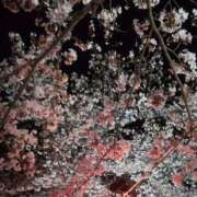 ヒメ日記 2025/04/07 20:12 投稿 ツムギ★大人可愛い愛人系 BITEKI