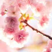 ヒメ日記 2025/04/09 12:26 投稿 ツムギ★大人可愛い愛人系 BITEKI