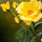 ヒメ日記 2025/04/11 11:25 投稿 ツムギ★大人可愛い愛人系 BITEKI