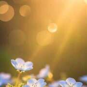 ヒメ日記 2025/04/12 13:19 投稿 ツムギ★大人可愛い愛人系 BITEKI