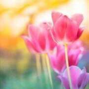 ヒメ日記 2025/04/16 18:11 投稿 ツムギ★大人可愛い愛人系 BITEKI