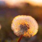 ヒメ日記 2025/04/17 18:57 投稿 ツムギ★大人可愛い愛人系 BITEKI