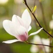 ヒメ日記 2025/04/18 11:45 投稿 ツムギ★大人可愛い愛人系 BITEKI