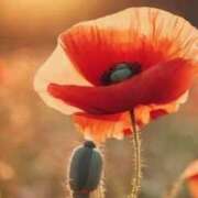 ヒメ日記 2025/04/20 14:20 投稿 ツムギ★大人可愛い愛人系 BITEKI