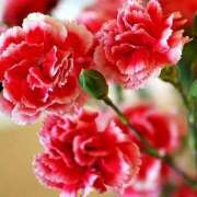 ヒメ日記 2025/04/23 13:47 投稿 ツムギ★大人可愛い愛人系 BITEKI