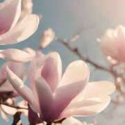 ヒメ日記 2025/04/26 15:20 投稿 ツムギ★大人可愛い愛人系 BITEKI