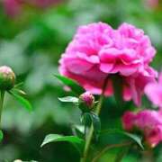 ヒメ日記 2025/04/27 10:43 投稿 ツムギ★大人可愛い愛人系 BITEKI