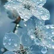 ヒメ日記 2025/04/28 14:53 投稿 ツムギ★大人可愛い愛人系 BITEKI