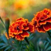 ヒメ日記 2025/05/01 15:40 投稿 ツムギ★大人可愛い愛人系 BITEKI