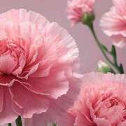 ヒメ日記 2025/05/06 21:15 投稿 ツムギ★大人可愛い愛人系 BITEKI