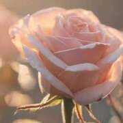 ヒメ日記 2025/05/10 18:16 投稿 ツムギ★大人可愛い愛人系 BITEKI