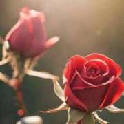 ヒメ日記 2025/05/12 18:48 投稿 ツムギ★大人可愛い愛人系 BITEKI