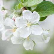 ヒメ日記 2025/05/13 11:15 投稿 ツムギ★大人可愛い愛人系 BITEKI