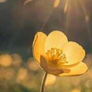 ヒメ日記 2025/05/15 11:15 投稿 ツムギ★大人可愛い愛人系 BITEKI