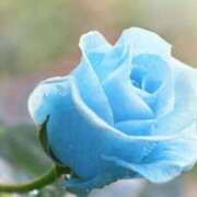 ヒメ日記 2025/05/17 11:15 投稿 ツムギ★大人可愛い愛人系 BITEKI