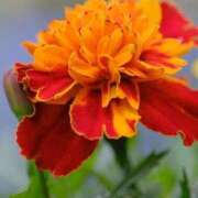 ヒメ日記 2025/05/22 11:45 投稿 ツムギ★大人可愛い愛人系 BITEKI