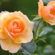 ヒメ日記 2025/05/23 15:49 投稿 ツムギ★大人可愛い愛人系 BITEKI