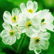 ヒメ日記 2025/05/24 11:25 投稿 ツムギ★大人可愛い愛人系 BITEKI