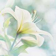 ヒメ日記 2025/05/26 11:26 投稿 ツムギ★大人可愛い愛人系 BITEKI