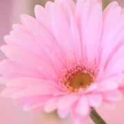 ヒメ日記 2025/05/28 11:45 投稿 ツムギ★大人可愛い愛人系 BITEKI