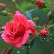 ヒメ日記 2025/06/03 11:45 投稿 ツムギ★大人可愛い愛人系 BITEKI