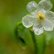 ヒメ日記 2025/06/04 11:15 投稿 ツムギ★大人可愛い愛人系 BITEKI