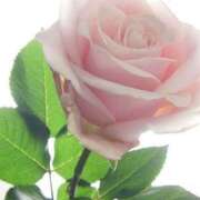 ヒメ日記 2025/06/06 11:15 投稿 ツムギ★大人可愛い愛人系 BITEKI