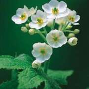 ヒメ日記 2025/06/07 11:45 投稿 ツムギ★大人可愛い愛人系 BITEKI