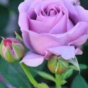 ヒメ日記 2025/06/09 11:15 投稿 ツムギ★大人可愛い愛人系 BITEKI