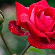 ヒメ日記 2025/06/11 10:45 投稿 ツムギ★大人可愛い愛人系 BITEKI