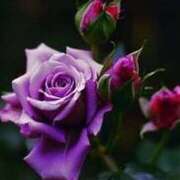 ヒメ日記 2025/06/12 12:09 投稿 ツムギ★大人可愛い愛人系 BITEKI