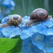 ヒメ日記 2025/06/13 10:45 投稿 ツムギ★大人可愛い愛人系 BITEKI