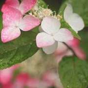 ヒメ日記 2025/06/14 10:45 投稿 ツムギ★大人可愛い愛人系 BITEKI