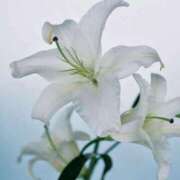 ヒメ日記 2025/06/15 10:13 投稿 ツムギ★大人可愛い愛人系 BITEKI