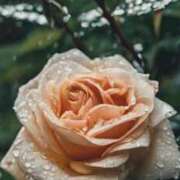 ヒメ日記 2025/06/16 13:06 投稿 ツムギ★大人可愛い愛人系 BITEKI