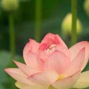 ヒメ日記 2025/06/18 13:48 投稿 ツムギ★大人可愛い愛人系 BITEKI