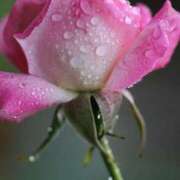 ヒメ日記 2025/06/22 10:45 投稿 ツムギ★大人可愛い愛人系 BITEKI