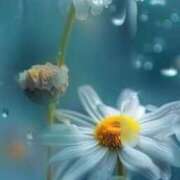 ヒメ日記 2025/06/23 11:04 投稿 ツムギ★大人可愛い愛人系 BITEKI