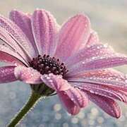 ヒメ日記 2025/06/24 11:45 投稿 ツムギ★大人可愛い愛人系 BITEKI