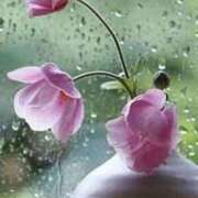 ヒメ日記 2025/06/25 14:13 投稿 ツムギ★大人可愛い愛人系 BITEKI