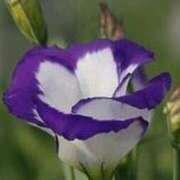 ヒメ日記 2025/06/26 11:15 投稿 ツムギ★大人可愛い愛人系 BITEKI