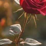 ヒメ日記 2025/06/27 18:08 投稿 ツムギ★大人可愛い愛人系 BITEKI