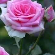 ヒメ日記 2025/07/01 11:15 投稿 ツムギ★大人可愛い愛人系 BITEKI