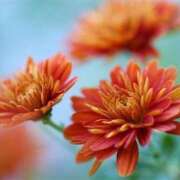 ヒメ日記 2025/07/03 11:30 投稿 ツムギ★大人可愛い愛人系 BITEKI