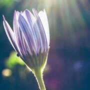 ヒメ日記 2025/07/09 10:45 投稿 ツムギ★大人可愛い愛人系 BITEKI