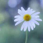 ヒメ日記 2025/07/10 11:15 投稿 ツムギ★大人可愛い愛人系 BITEKI