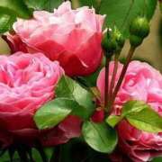 ヒメ日記 2025/07/12 10:45 投稿 ツムギ★大人可愛い愛人系 BITEKI