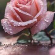 ヒメ日記 2025/07/15 11:45 投稿 ツムギ★大人可愛い愛人系 BITEKI