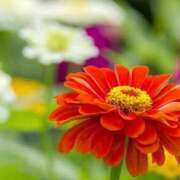 ヒメ日記 2025/07/16 11:45 投稿 ツムギ★大人可愛い愛人系 BITEKI