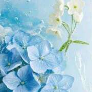 ヒメ日記 2025/07/17 14:49 投稿 ツムギ★大人可愛い愛人系 BITEKI